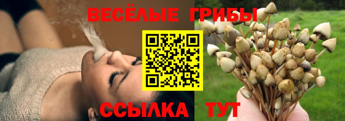 Псилоцибиновые грибы ЛСД  Вход с VPN  Псилоцибиновые грибы ЛСД  Щёкино 